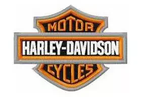 Website Design Palm Coast